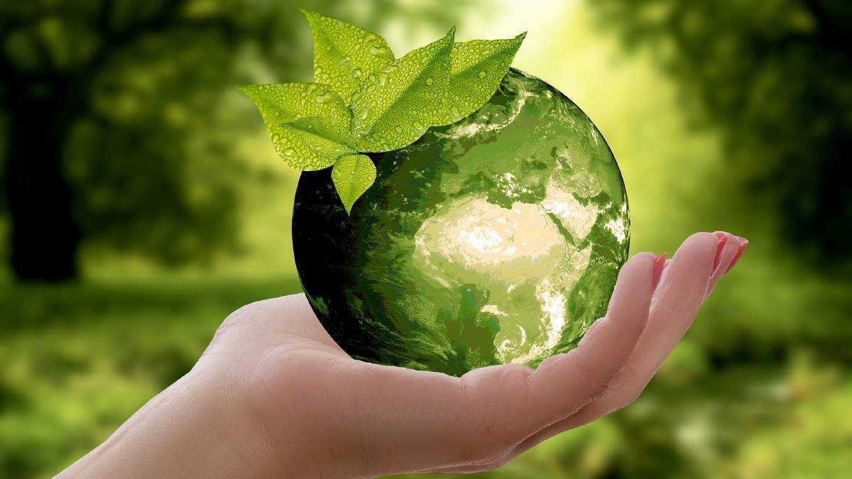 uvgreen sạch khuẩn vô lo CSR